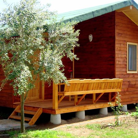 Sera Pansiyon Çıralı Exterior foto