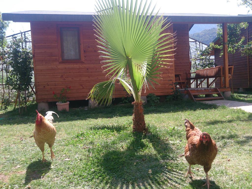 Sera Pansiyon Çıralı Exterior foto